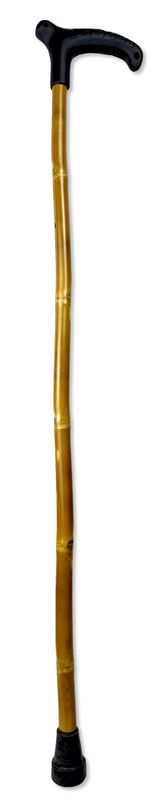 Support Stick - Bamboo Cane