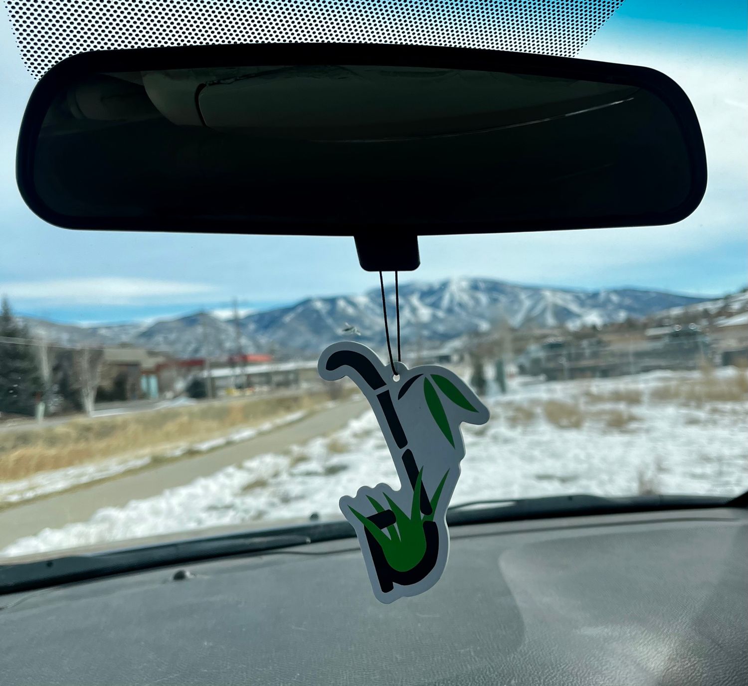 Air Freshener