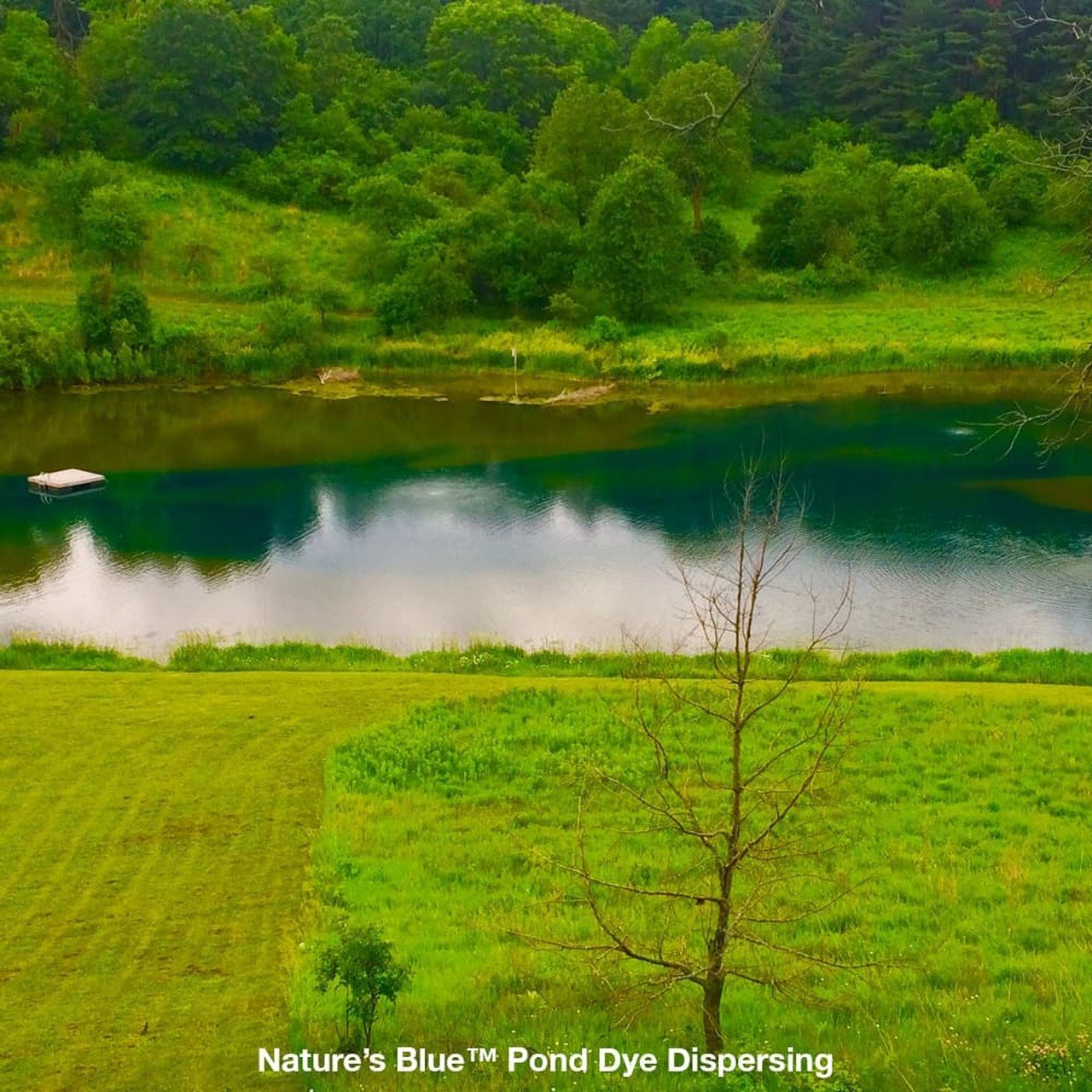 Airmax® Nature's Blue™ Pond Dye, 1 gallon