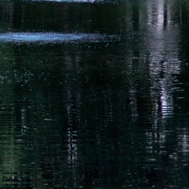 Airmax® Black DyeMond™ 4X Concentrated Pond Dye, 1 quart