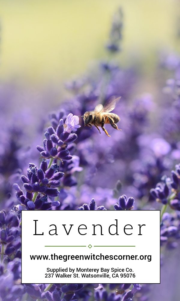 Lavender Buds (Jar)
