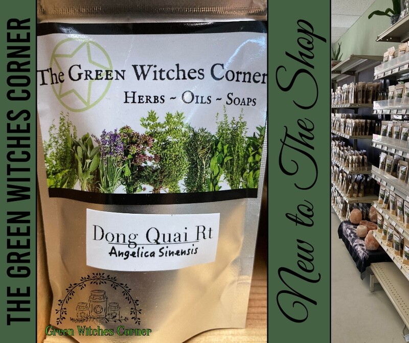 Dong Quai Root
