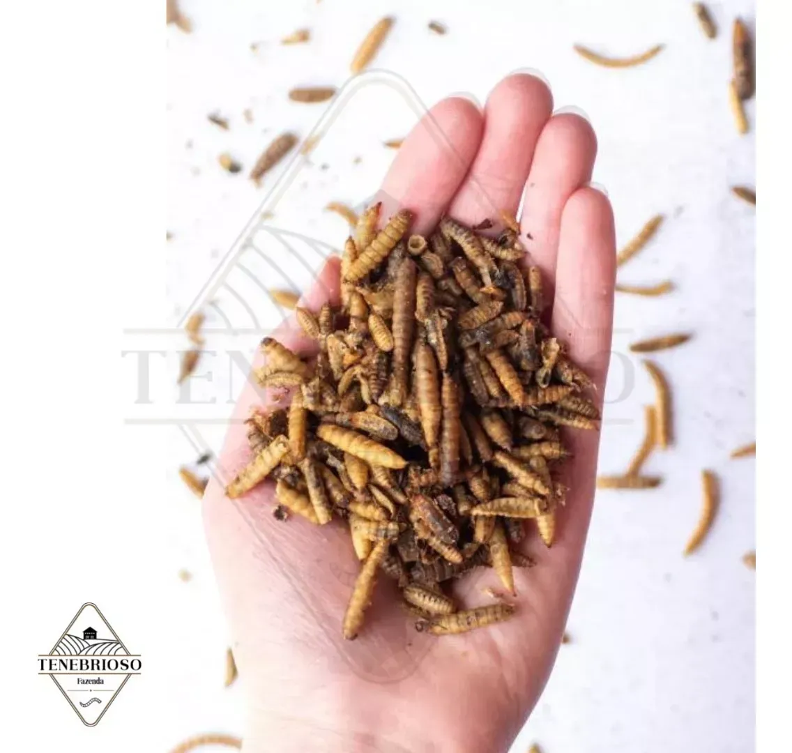 Bsf Larvas De Mosca Soldado Deshidratadas - 250g