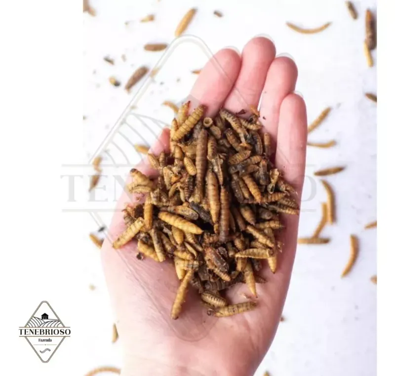Bsf Larvas De Mosca Soldado Deshidratadas - 250g