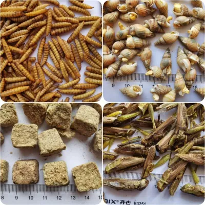 Alimentos  Deshidratados / Liofilizado