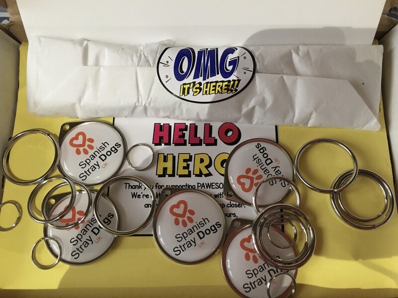 Dog Tags (medium)