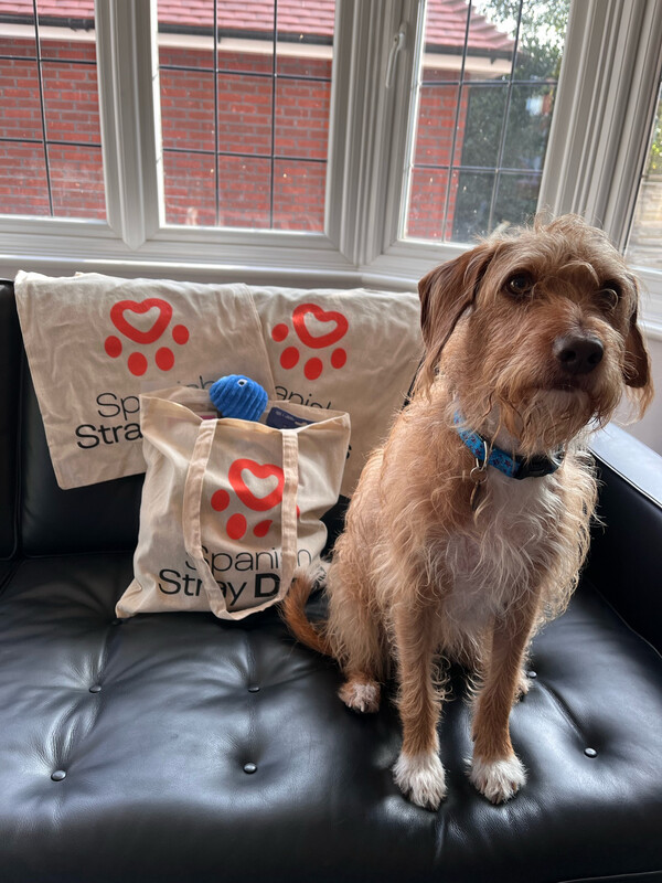 Cotton tote bag