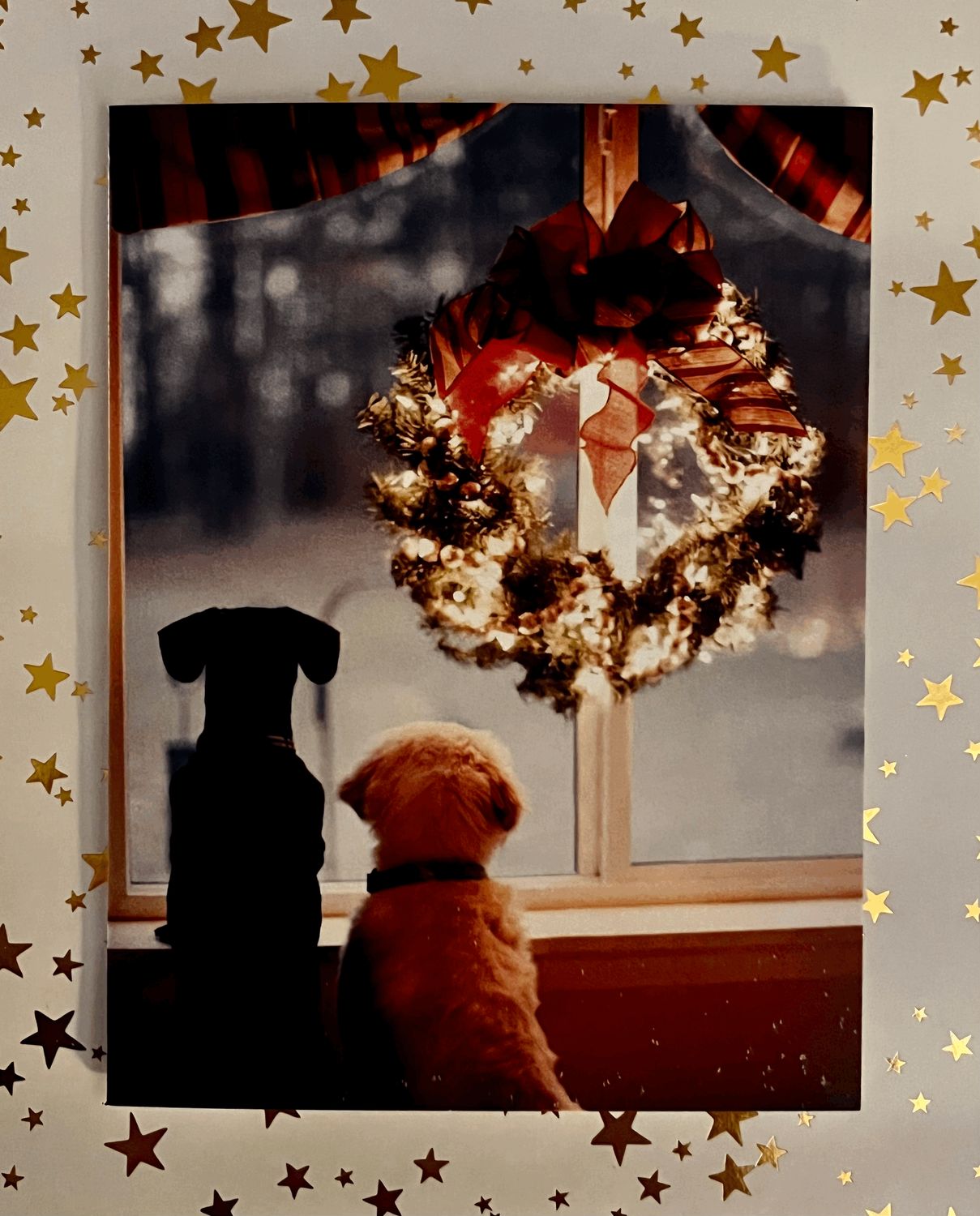 'Waiting for Santa' Christmas Cards. Buy one, get one free!