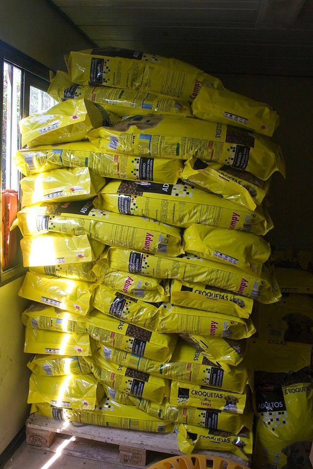 Bag of dog food - feed a Spanish stray doggy for a month!