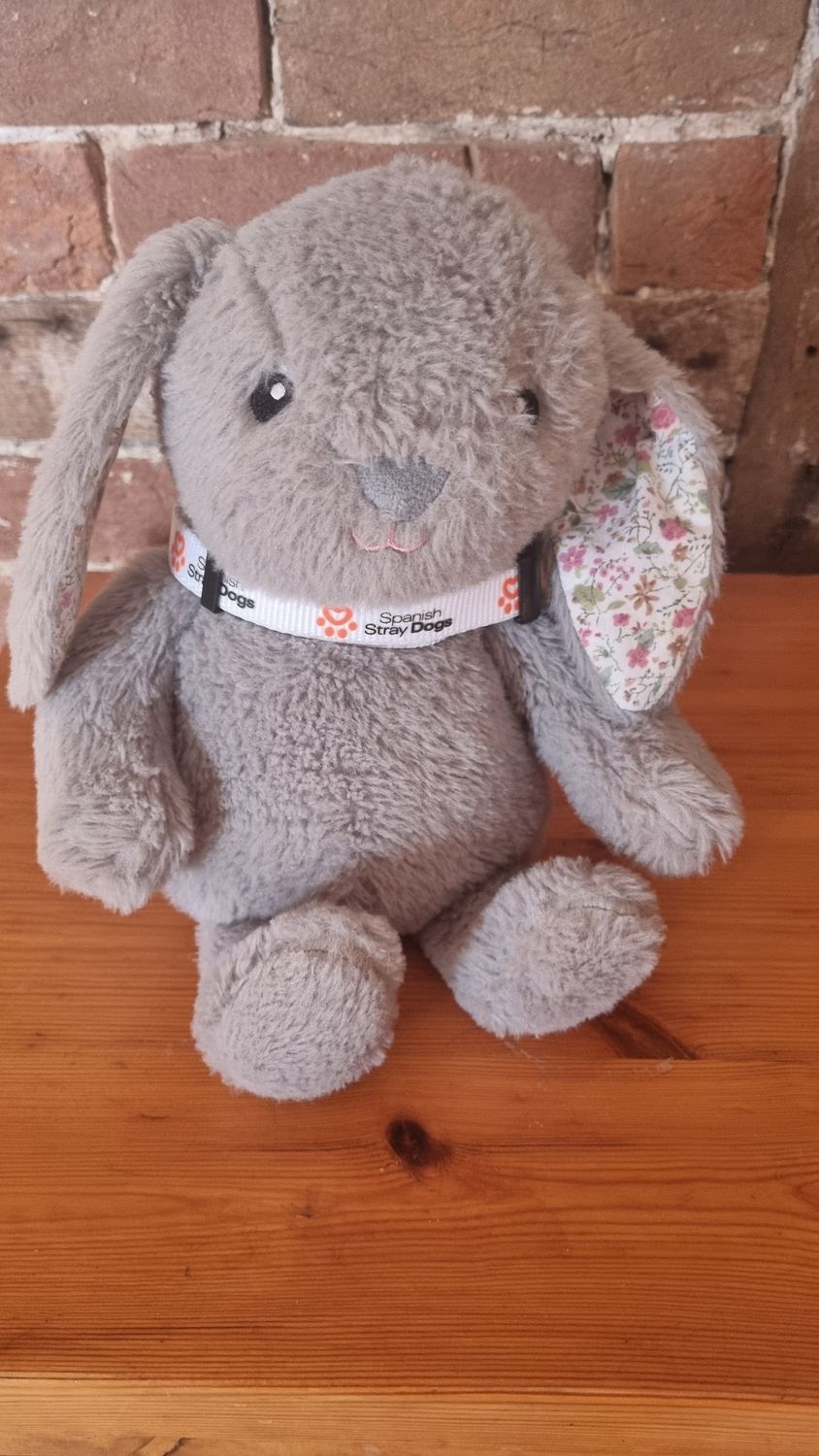 Cuddlt Rabbit