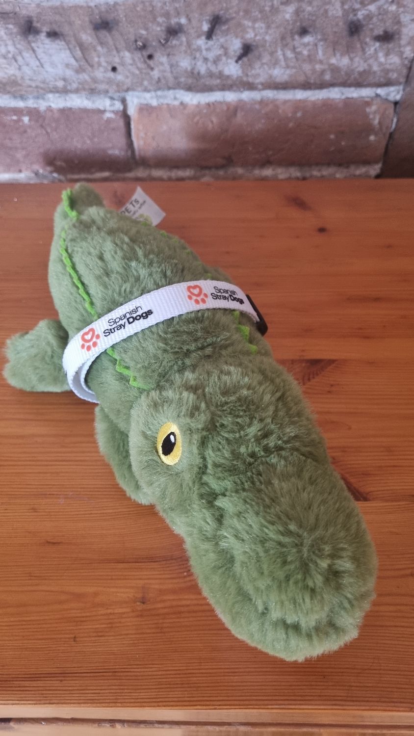Cuddly crocodile