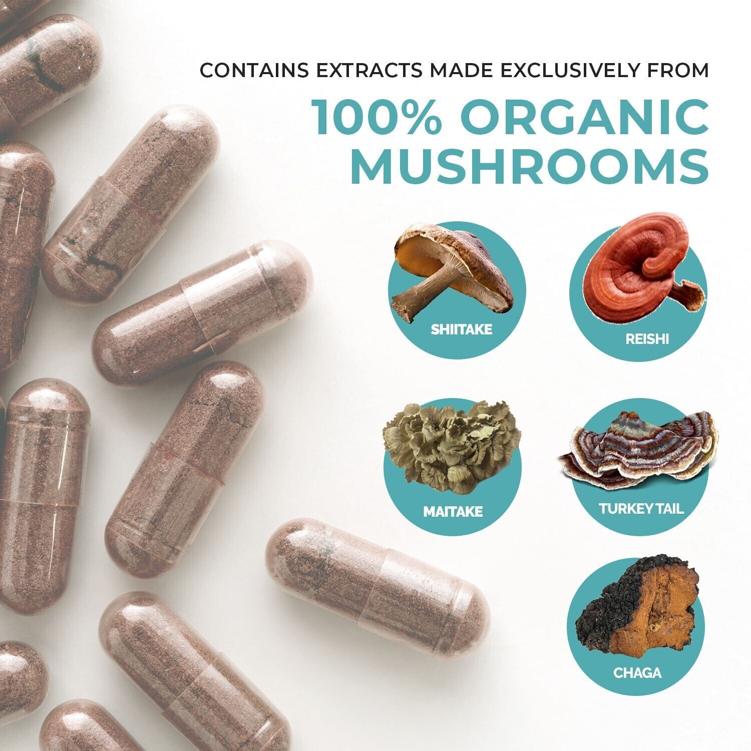 5 Defenders 1000 mg 90 Capsules Real Mushrooms