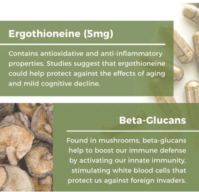 Ergo+L-Ergothioneine 300 mg 60 capsules Real Mushrooms
