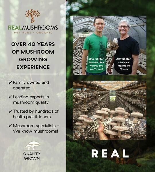 Lions Mane  1000 mg 300 capsules Real Mushrooms