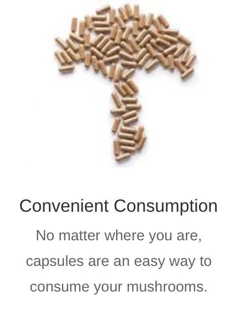Cordyceps-M 1000 mg 120 capsules Real Mushrooms
