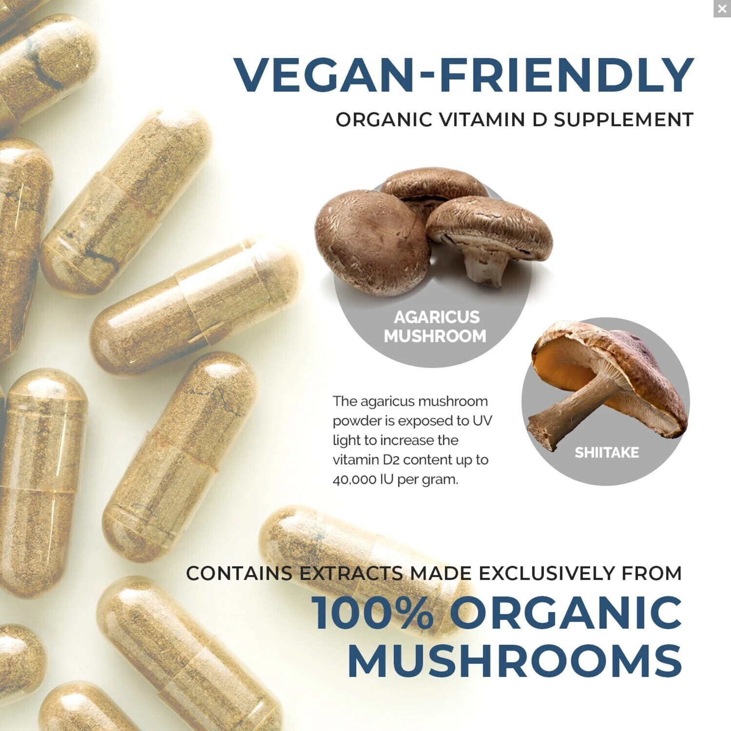 Mushroom D2 300 mg 120 capsules Real Mushrooms