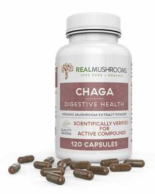 Chaga Extract 120 Capsules Real Mushrooms