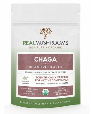 Chaga Extract 1000 mg 60 g Bulk Powder Real Mushrooms