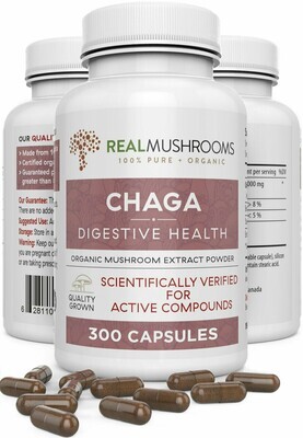 Chaga Extract 1000 mg 300 Capsules Real Mushrooms