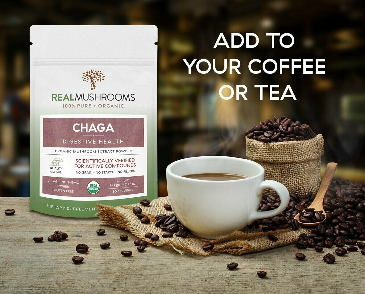 Chaga Extract 1000 mg 60 g Bulk Powder Real Mushrooms