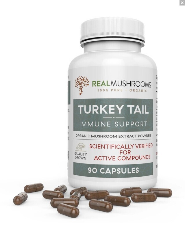 Turkey Tail Extract 1000 mg 90 Capsules Real Mushrooms