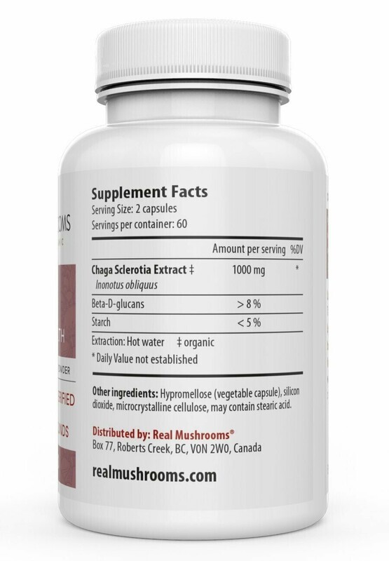 Chaga Extract 1000 mg 300 Capsules Real Mushrooms