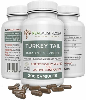 Turkey Tail Extract 1000 mg 200 Capsules Real Mushrooms