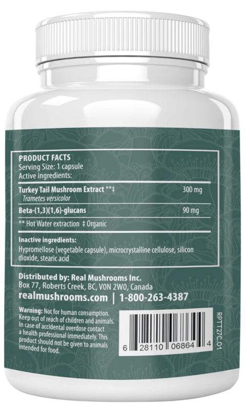 Turkey Tail Extract Capsules for Pets REAL MUSHROOMS