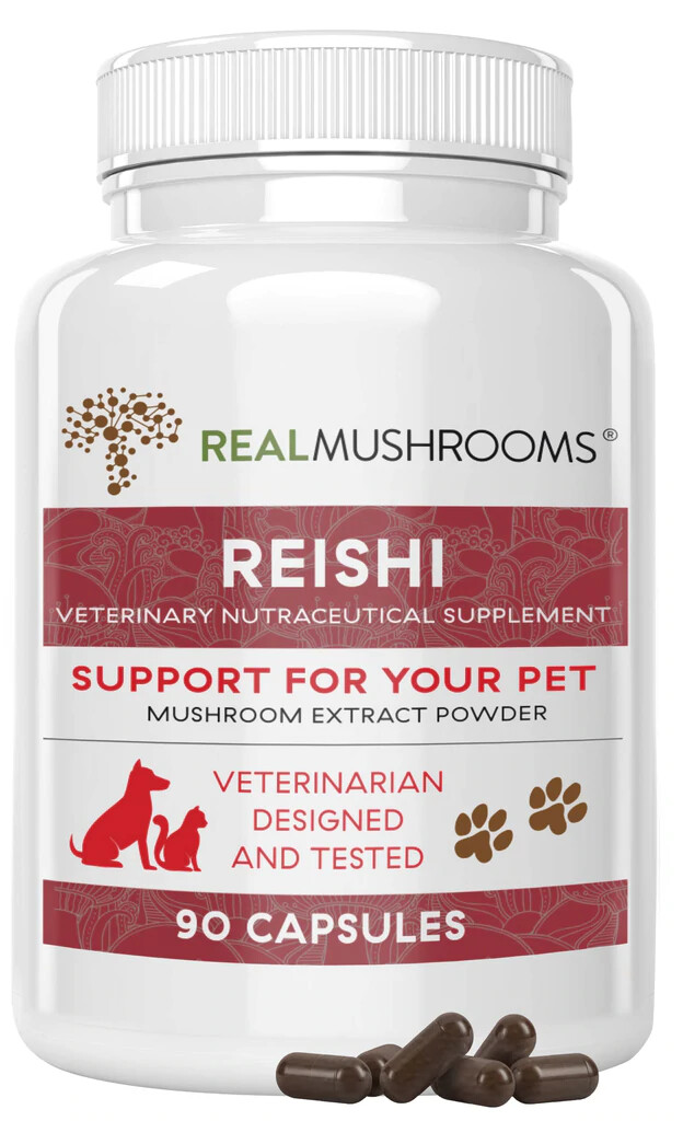 Organic Reishi Mushroom Capsules for Pets REAL MUSHROOMS