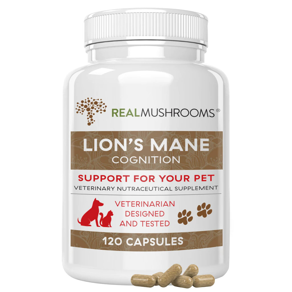 Organic Lions Mane Extract Capsules for Pets REAL MUSHROOMS