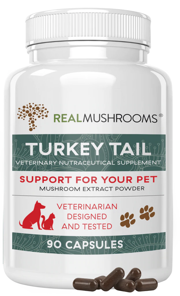 Turkey Tail Extract Capsules for Pets REAL MUSHROOMS