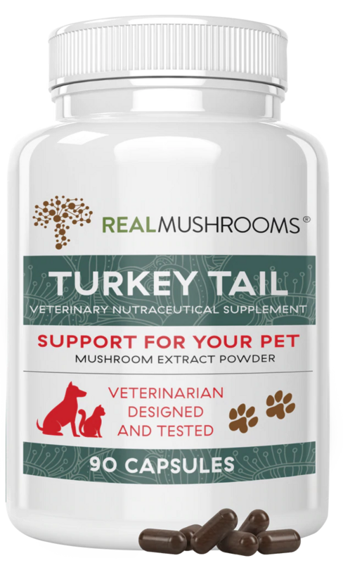 Turkey Tail Extract Capsules for Pets REAL MUSHROOMS