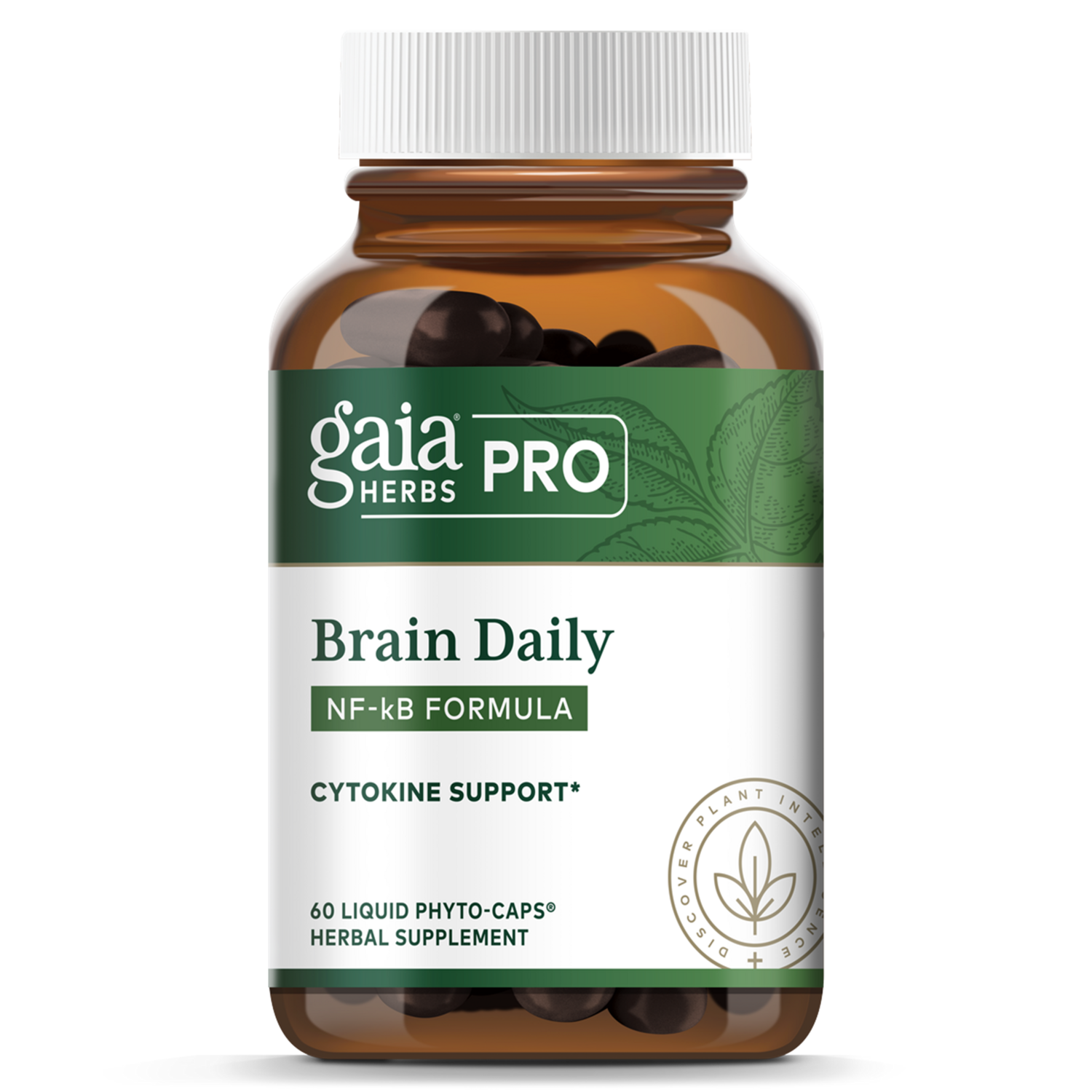 Brain Daily: NF-kB Formula 60 lvcaps GAIA HERBS