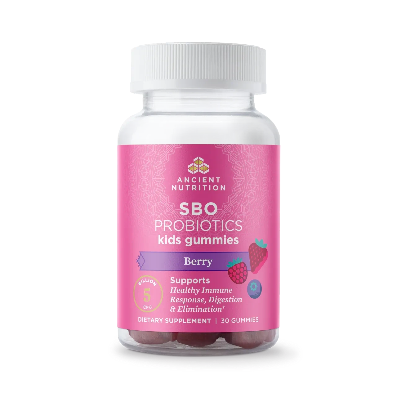 SBO KIDS Probiotic 5B CFU 30 ct Ancient Nutrition