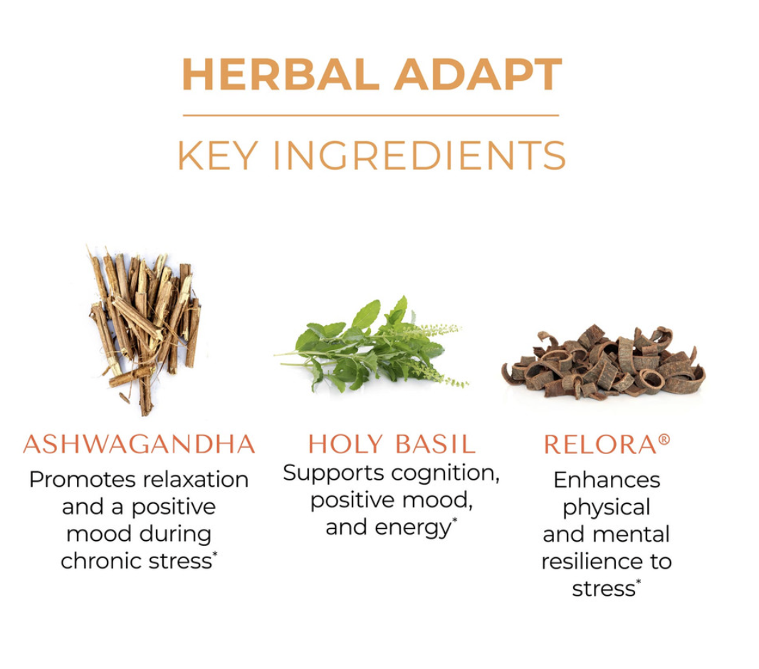 Herbal Adapt HPA Axis Restore 60 vegcaps Allergy Research Group