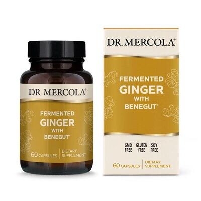 Fermented Ginger 60 caps Dr. Mercola