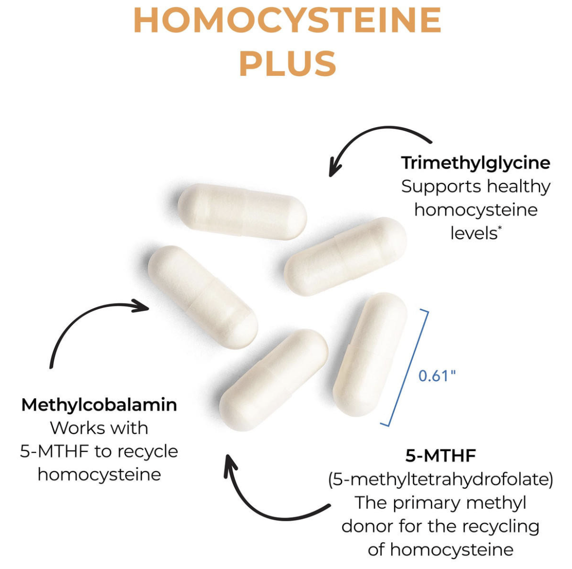 Homocysteine Plus 90 vegcaps Allergy Research Group