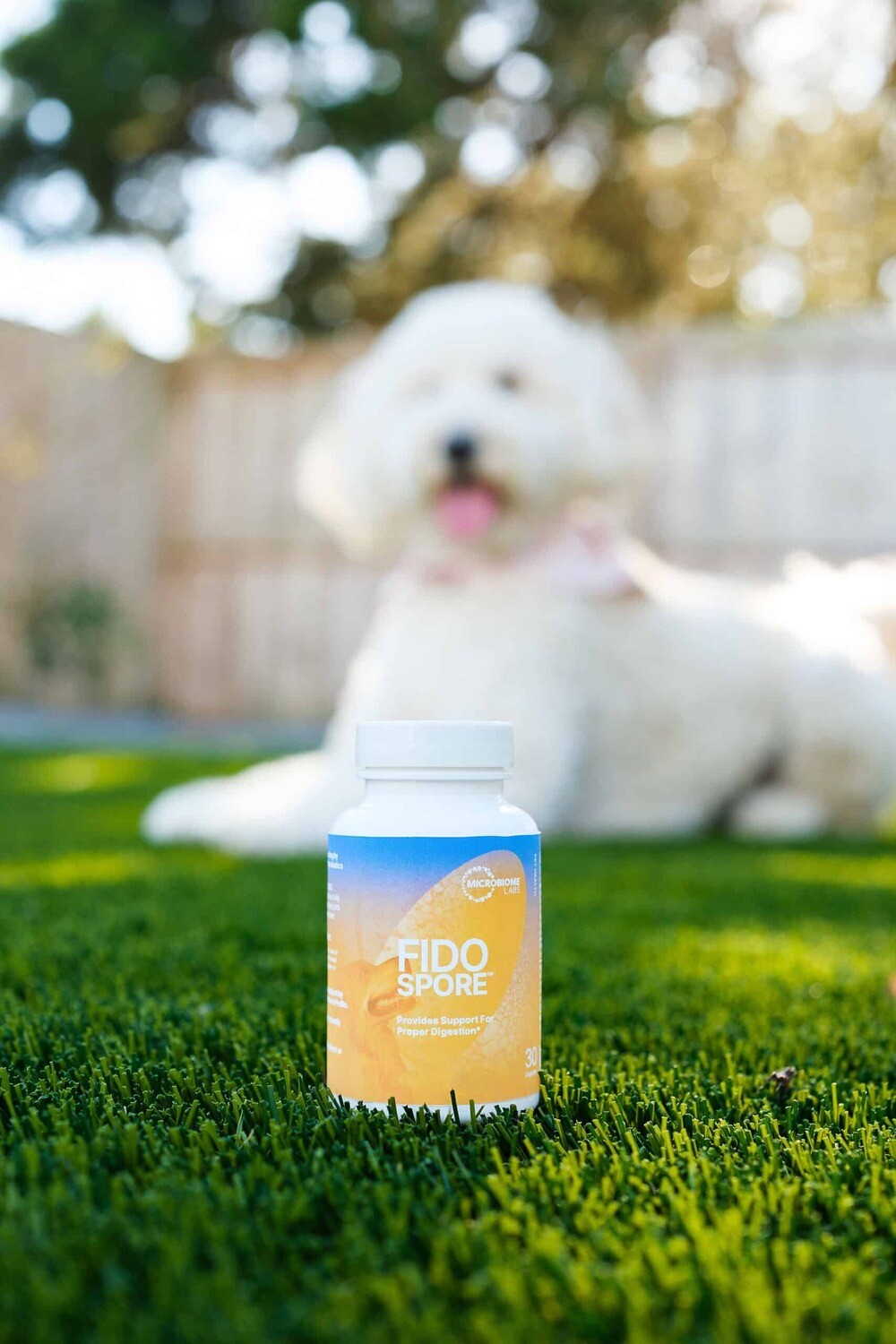 FidoSpore 30 capsules Microbiome Labs