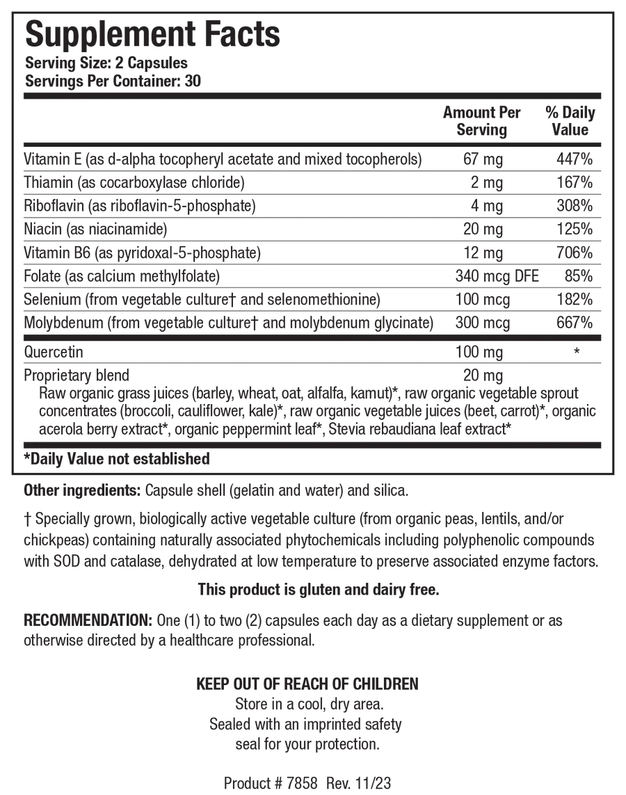 TolerAid 60 capsules  Biotics Research
