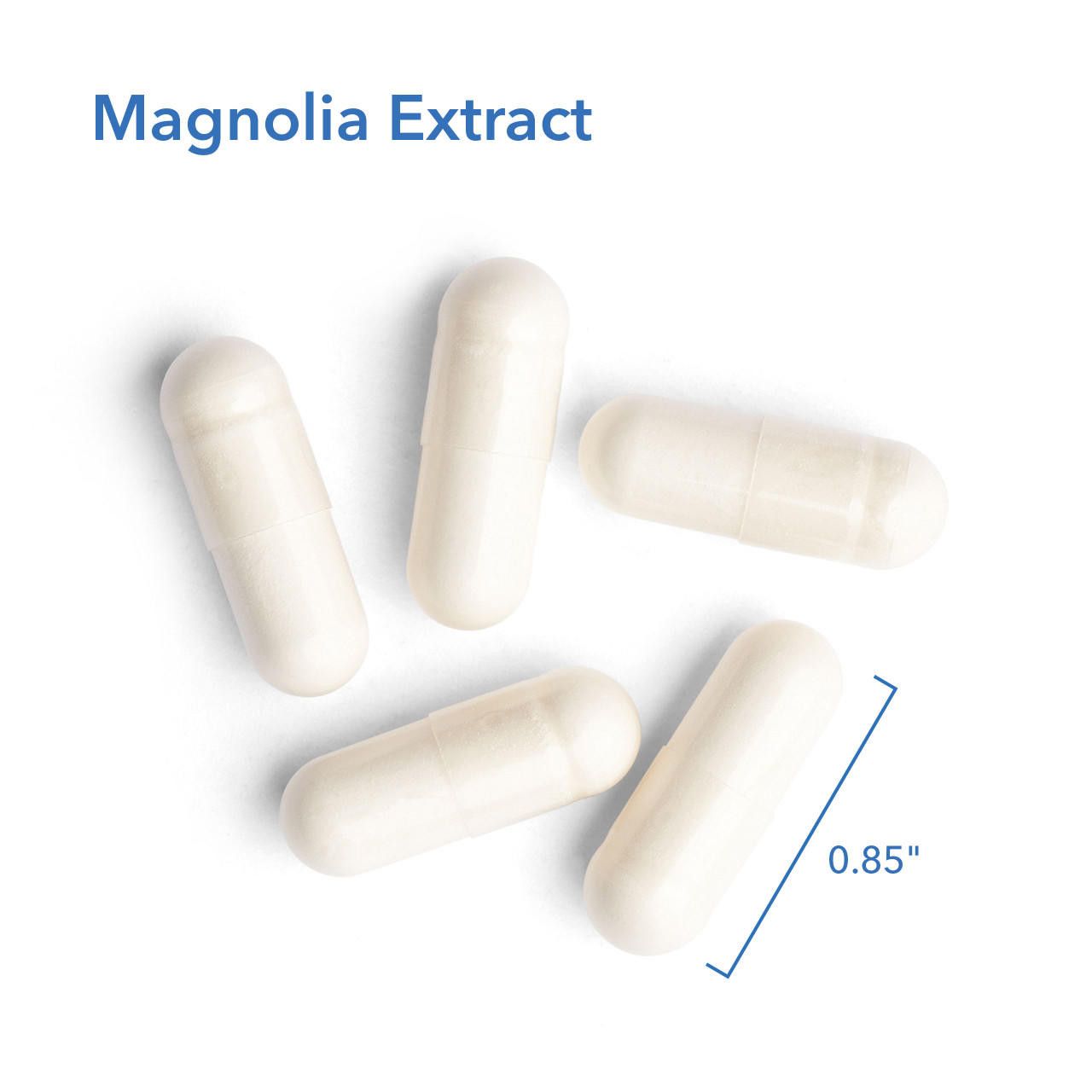 Magnolia Extract  120 Vegetarian Caps  Allergy Research Group