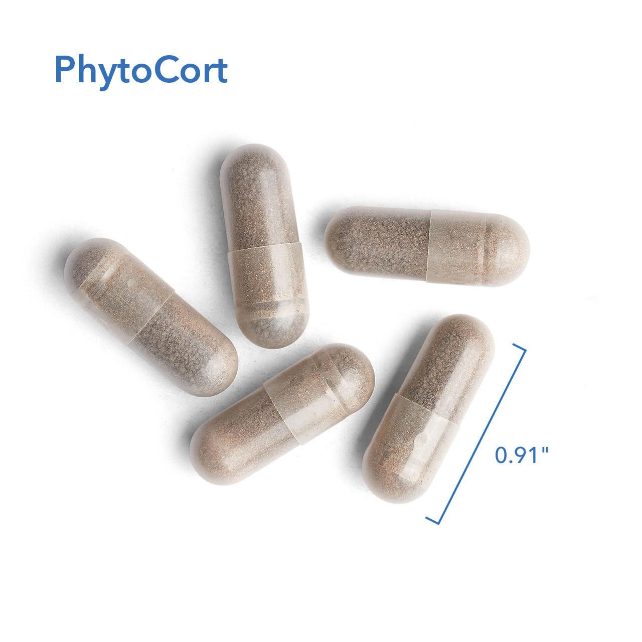 PhytoCort 120 Vegetarian Capsules
 Allergy Research Group