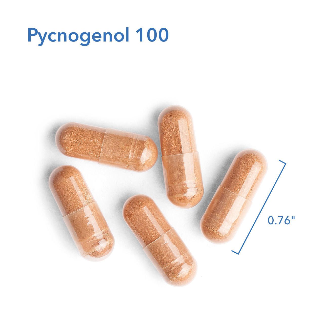 Pycnogenol 100 mg 30 Vegetarian Capsules  Allergy Research Group