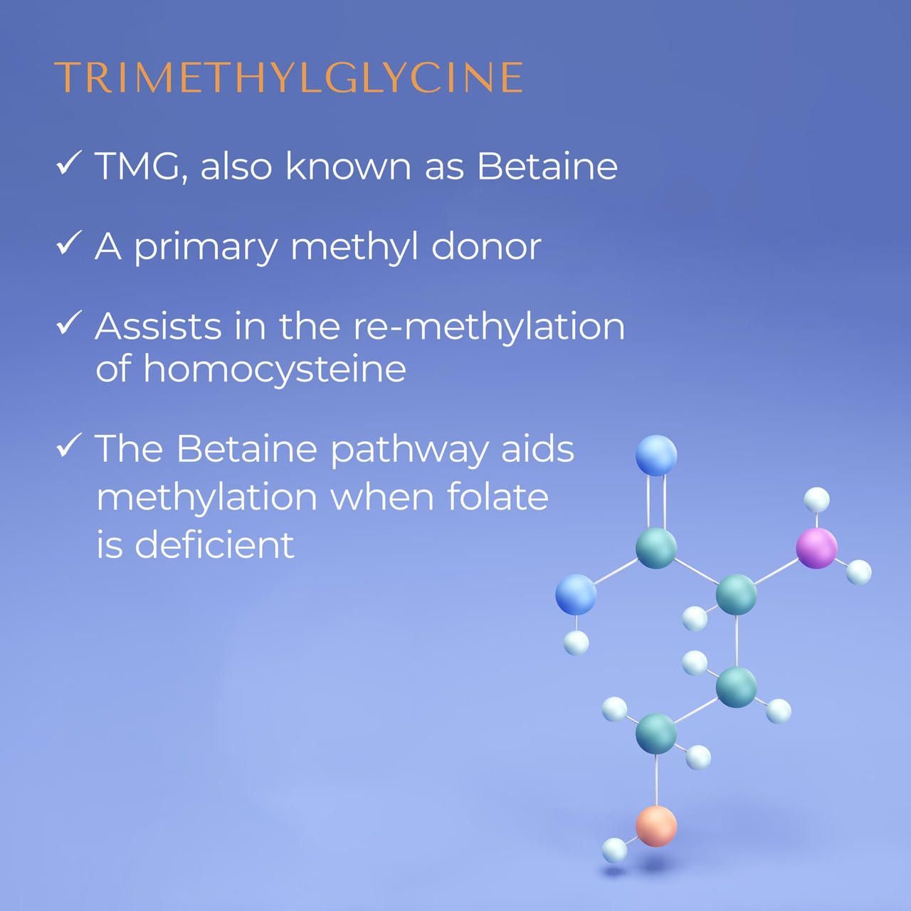 TMG 100 Vegetarian Capsules Allergy Research Group