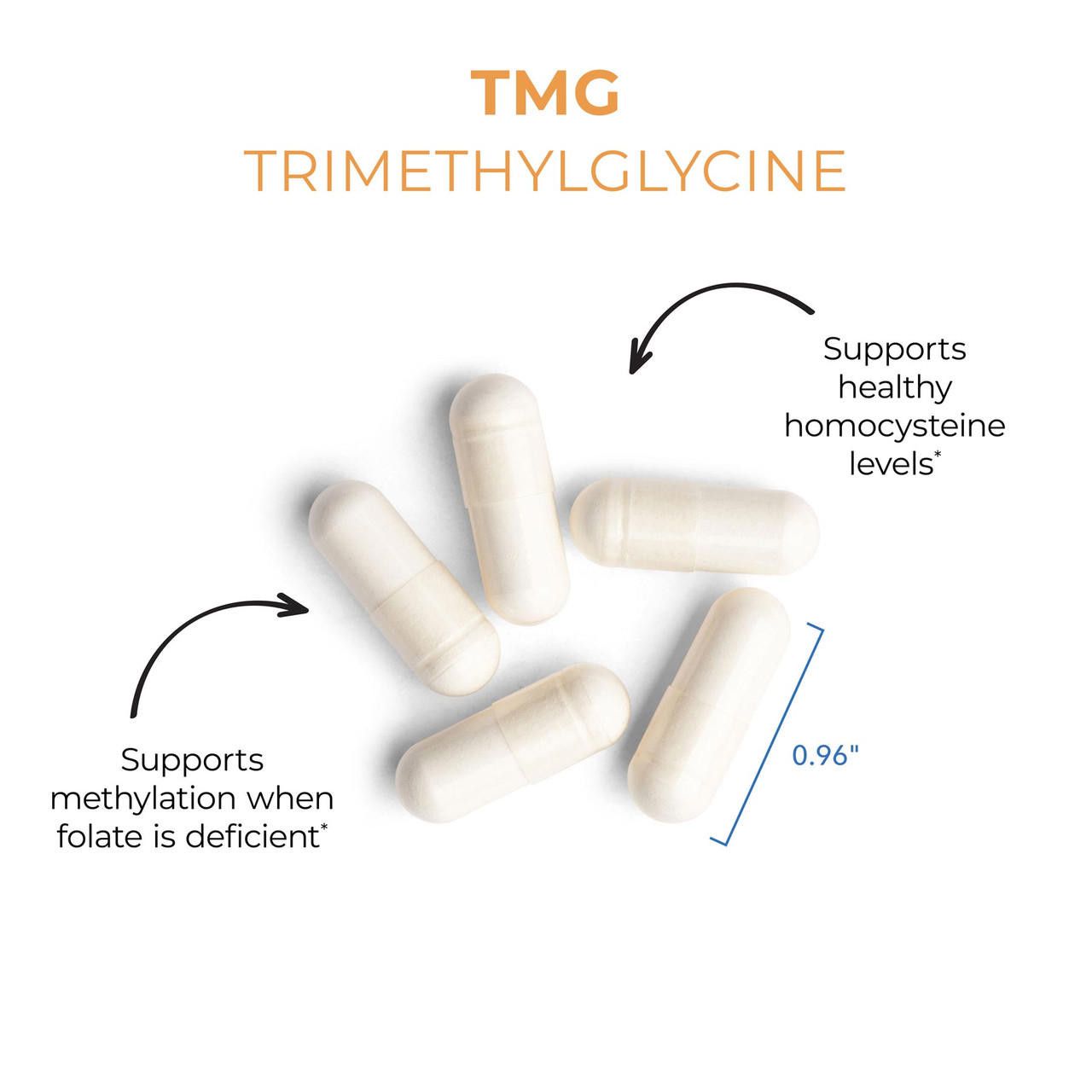 TMG 100 Vegetarian Capsules Allergy Research Group