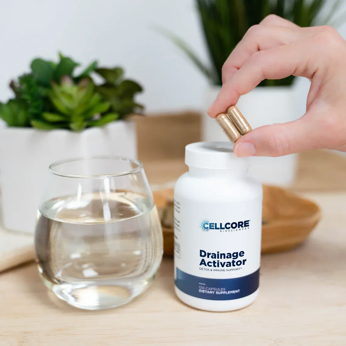 Drainage Activator  120 capsules CellCore Biosciences
