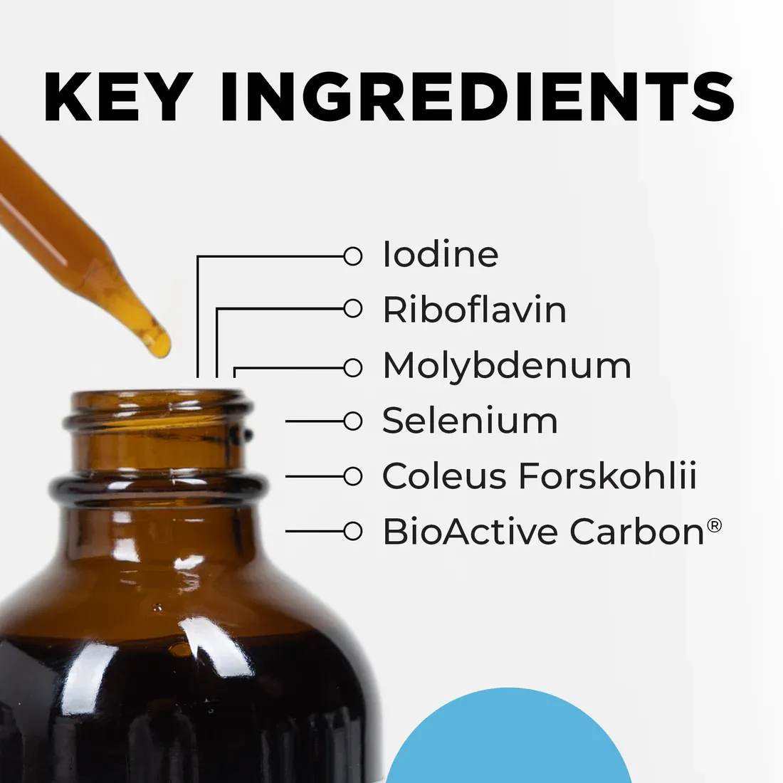 Metabolic Activator 59 ml CellCore Biosciences