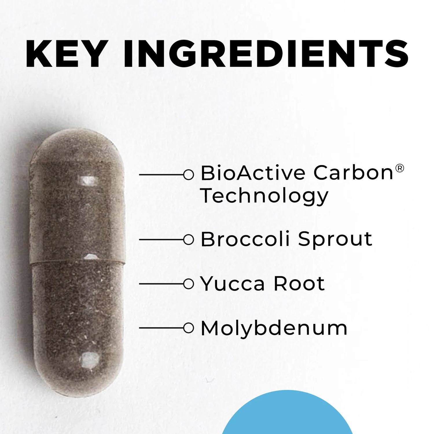 BioToxin Binder 120 capsules CellCore Biosciences