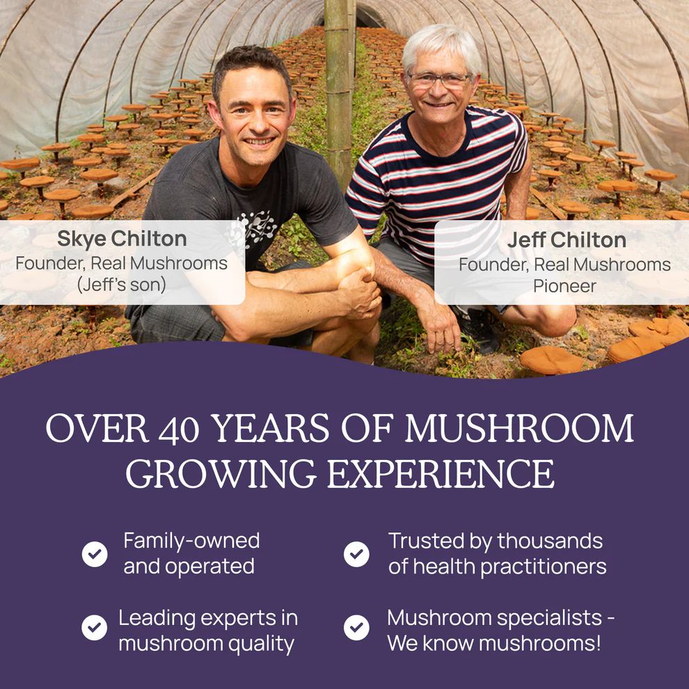 Mushroom D2Z 500 mg 120 capsules Real Mushrooms