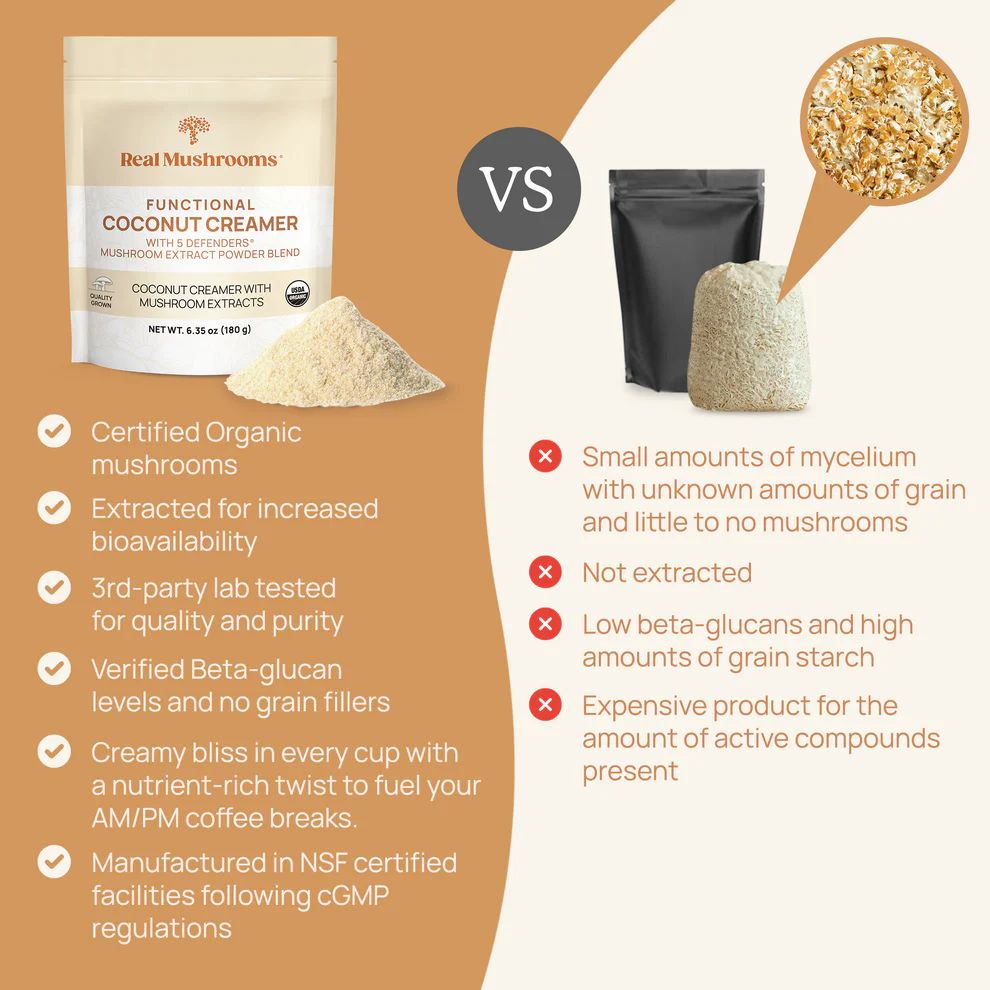 Functional Coconut Creamer -180 gr Powder Real Mushrooms