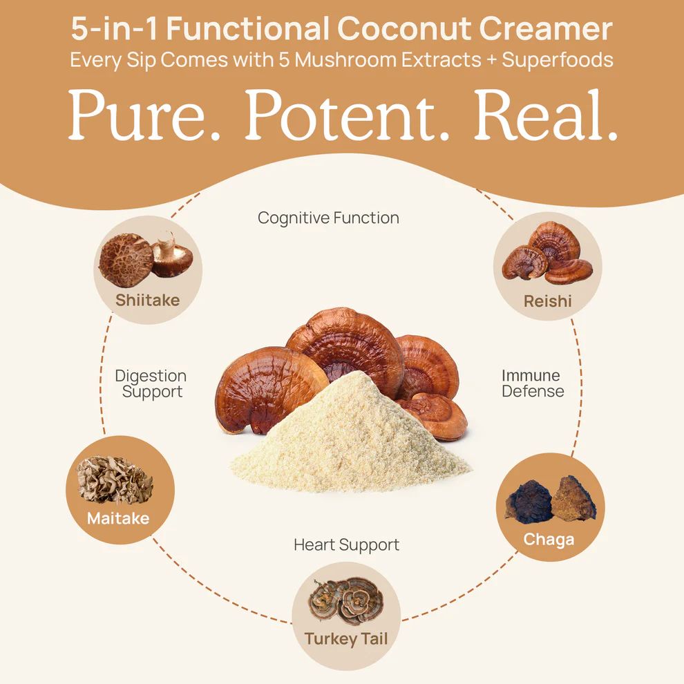 Functional Coconut Creamer -180 gr Powder Real Mushrooms